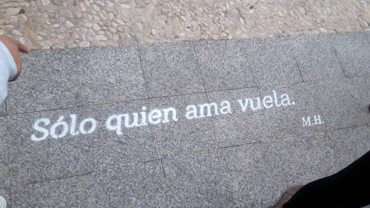 17425065_10208965228343791_3862006975151843276_n