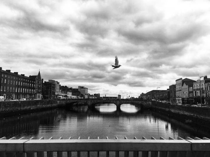 Volar no vuelo, pero...con firma